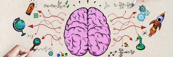 neuroscienze ed educazione